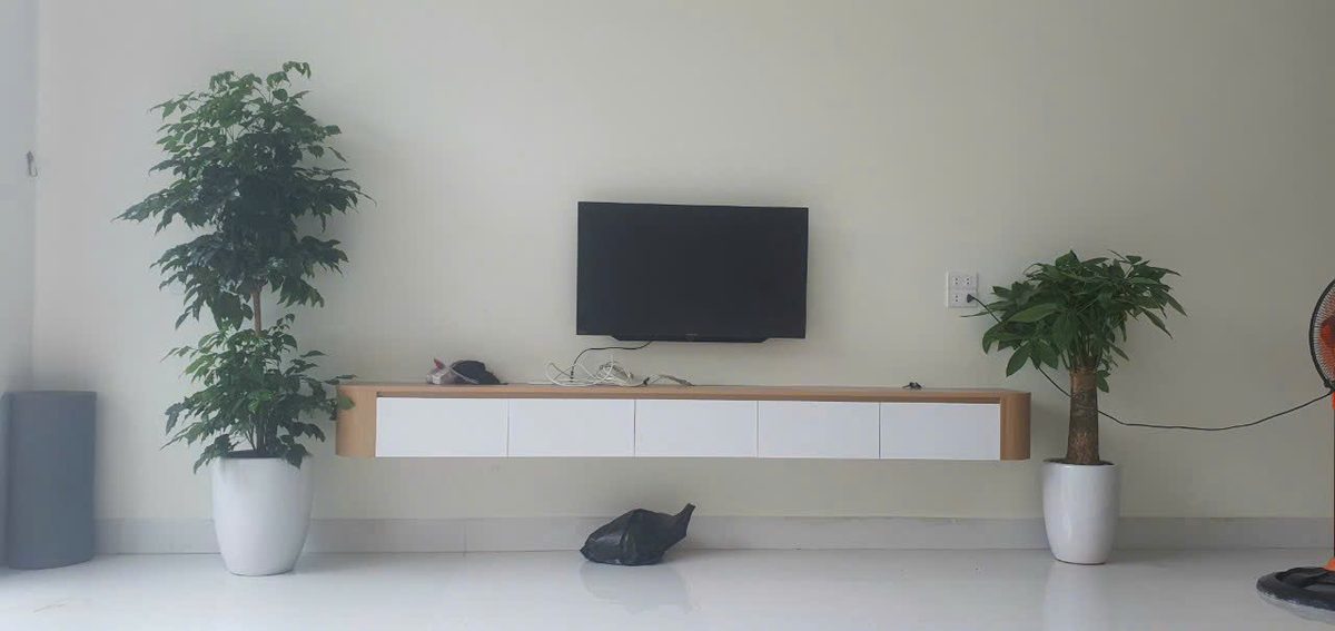 Kệ tivi tối giản với kệ gỗ treo tường và cây xanh trang trí - Nội Thất Hà Tuấn LX